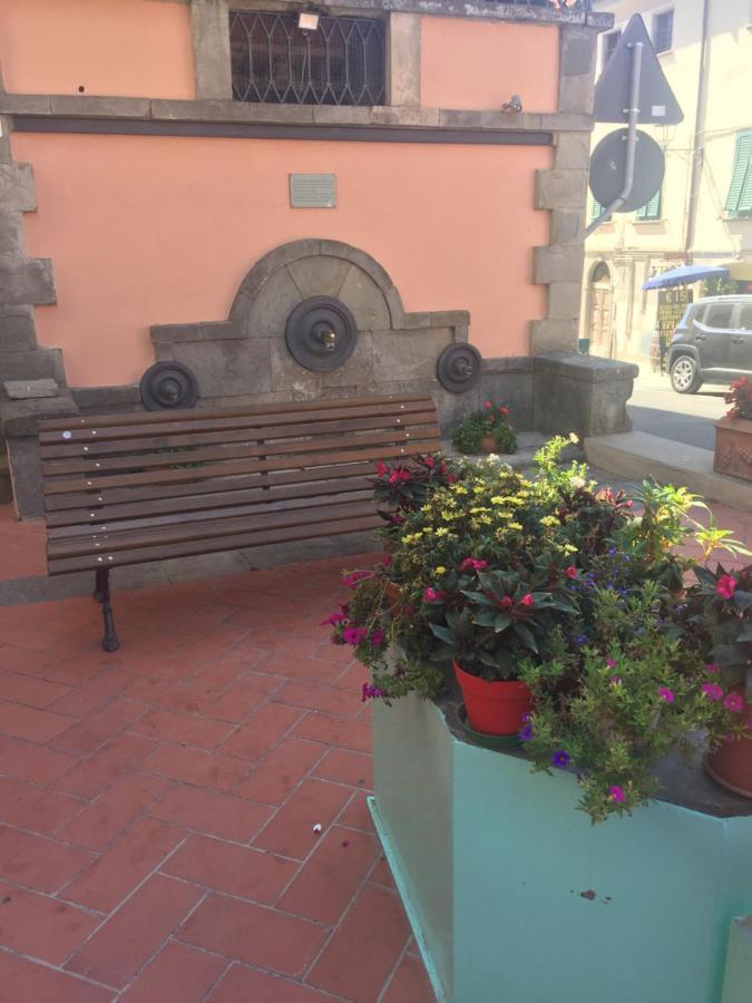 Apartament Mare Toscano Riparbella Zewnętrze zdjęcie