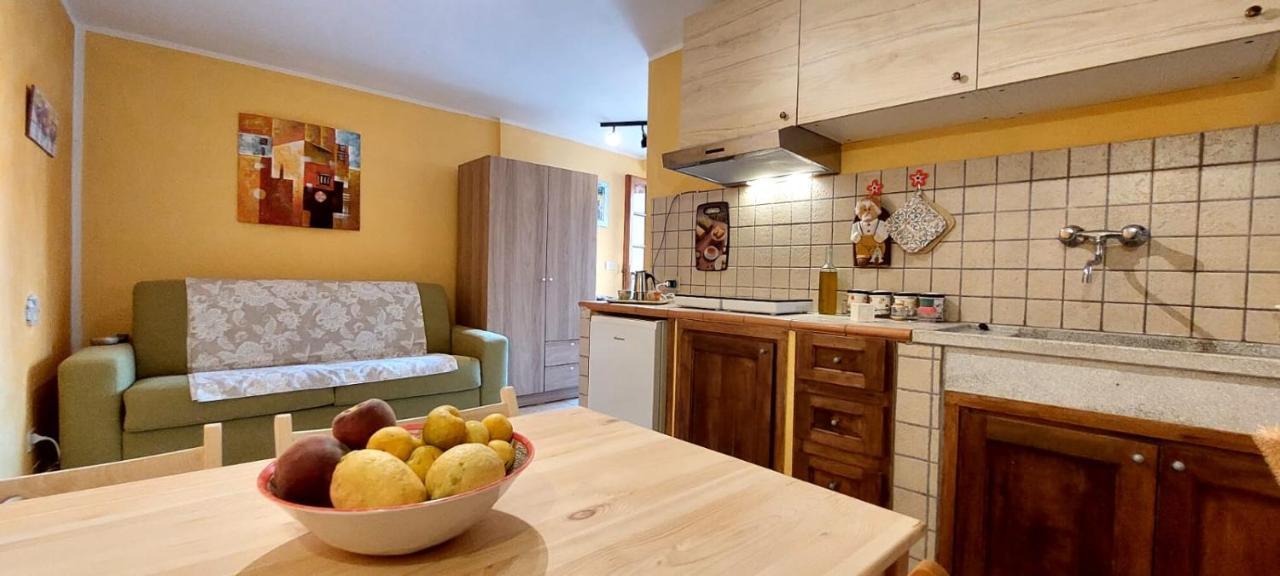 Apartament Mare Toscano Riparbella Zewnętrze zdjęcie
